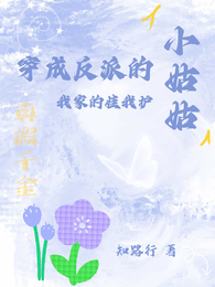 穿成反派的小姑姑,我家的娃我护 封面