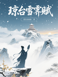 琼台雪霁赋 封面