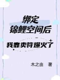 绑定锦鲤空间后，我靠卖符爆火了 封面