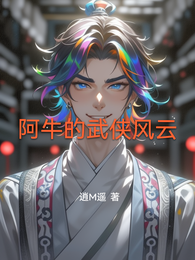 阿牛的武侠风云 封面
