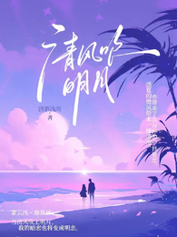 清风吹明月 封面