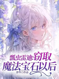 瓢虫雷迪：窃取魔法宝石以后 封面