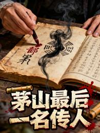 茅山最后一名传人 封面