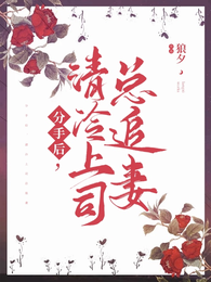 分手后，清冷上司总追妻 封面