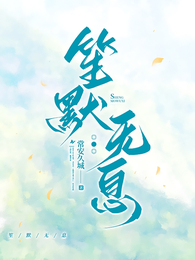 笙默无息 封面