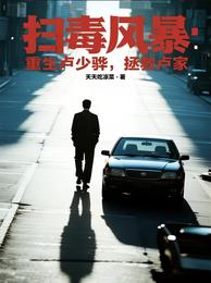 扫毒风暴：重生卢少骅，拯救卢家 封面