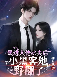 黑进大佬心尖后，小黑客她野翻了 封面