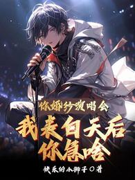 你婚纱演唱会，我表白天后你急啥 封面