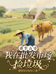 重生五零:我在批发市场捡垃圾 封面