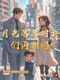 月光落幕时我们再相遇 封面
