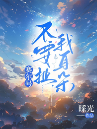 赛尔号:不要扯我耳朵 封面