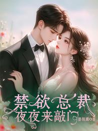 禁欲总裁夜夜来敲门 封面