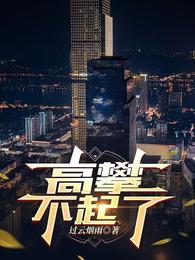 高攀不起了 封面