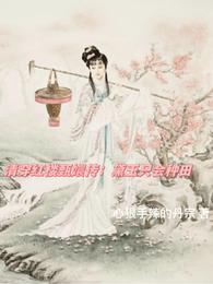 清穿红楼甄嬛传：黛玉只会种田 封面