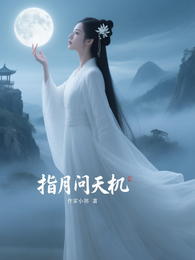 指月问天机 封面