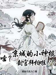 啥?京城的小神棍封官拜相啦?! 封面
