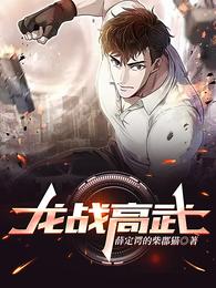龙战高武 封面