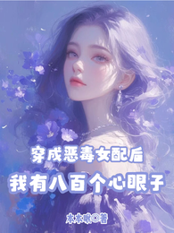 穿成恶毒女配后我有八百个心眼子 封面