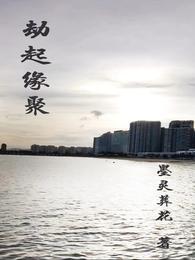 劫起缘聚 封面