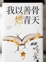 我以善骨燃青天 封面