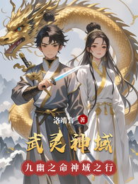 武灵神域 封面