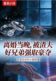 离婚当晚，被渣夫好兄弟强取豪夺 封面