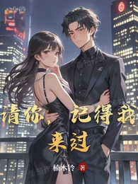 请你,记得我来过 封面