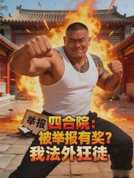 四合院：被举报有奖？我法外狂徒 封面