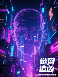 链网追凶 封面