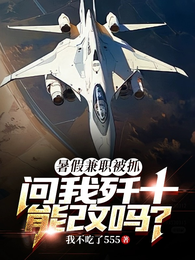 暑假兼职被抓，问我歼十能改吗？ 封面