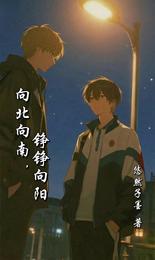 向北向南,铮铮向阳 封面