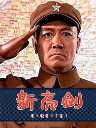 新亮剑 封面