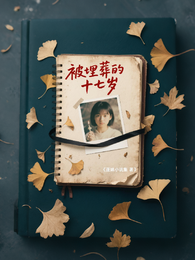 被埋葬的十七岁 封面