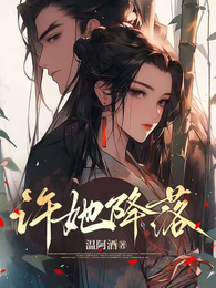 许她降落 封面