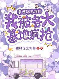 末世随机摆摊,我被各大基地疯抢 封面