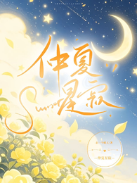 仲夏星寂 封面