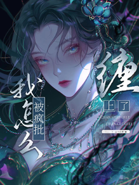 我怎么被疯批缠上了 封面