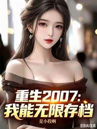 重生2007：我能无限存档 封面