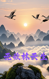 无敌林天生 封面