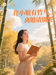 许小姐有竹马,离婚请别哭 封面