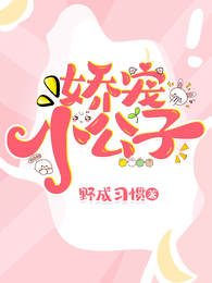 娇宠小公子 封面