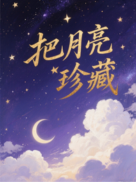 把月亮珍藏 封面