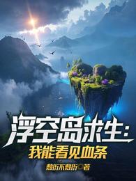 浮空岛求生：我能看见血条 封面