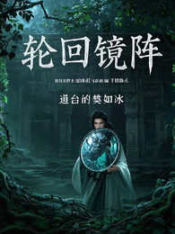 轮回镜阵 封面