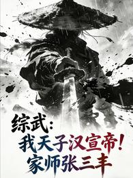 综武：我天子汉宣帝！家师张三丰 封面
