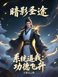 暗影圣途：系统逼我功德飞升 封面