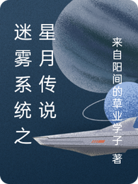 迷雾系统之星月传说 封面