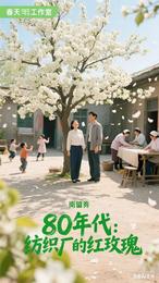 80年代：纺织厂的红玫瑰 封面