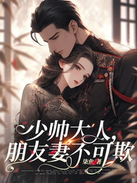 少帅大人,朋友妻不可欺 封面