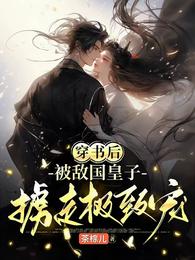 穿书后,被敌国皇子掳走极致宠 封面